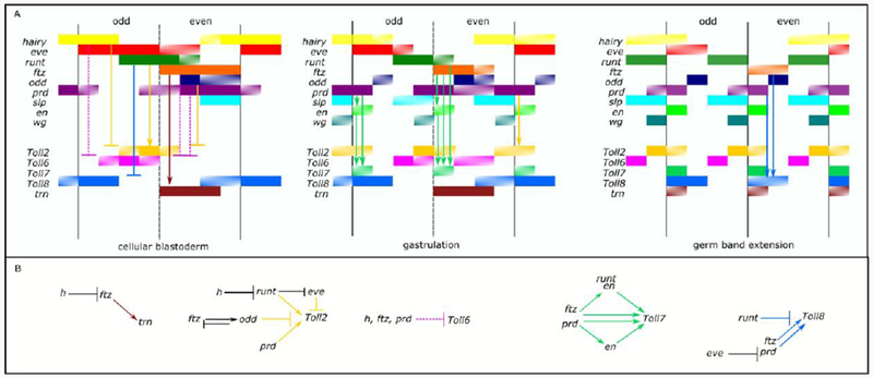 Figure 7.