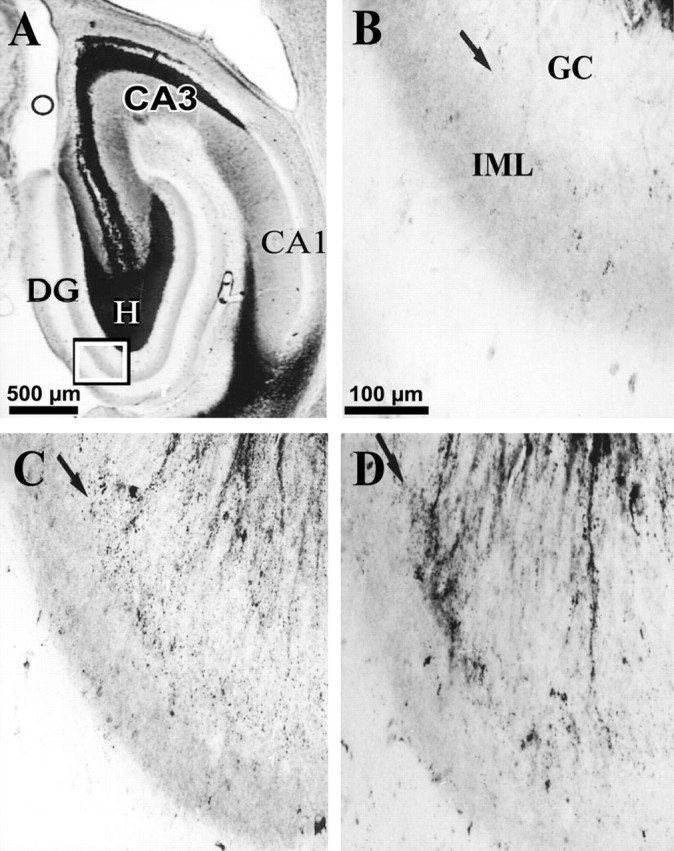 Fig. 10.