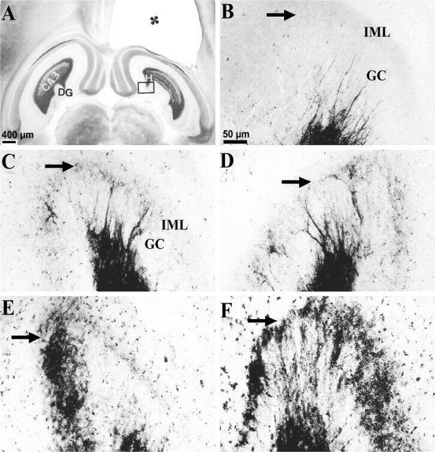 Fig. 9.