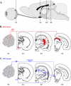 FIG. 5.