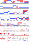 FIG.2.