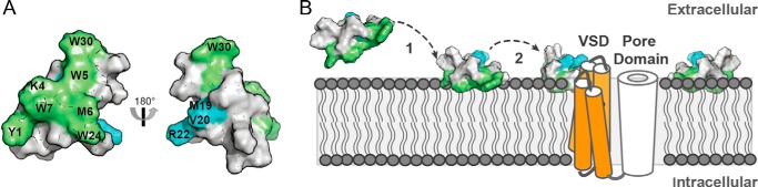 FIGURE 9.