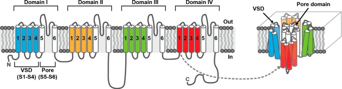 FIGURE 1.