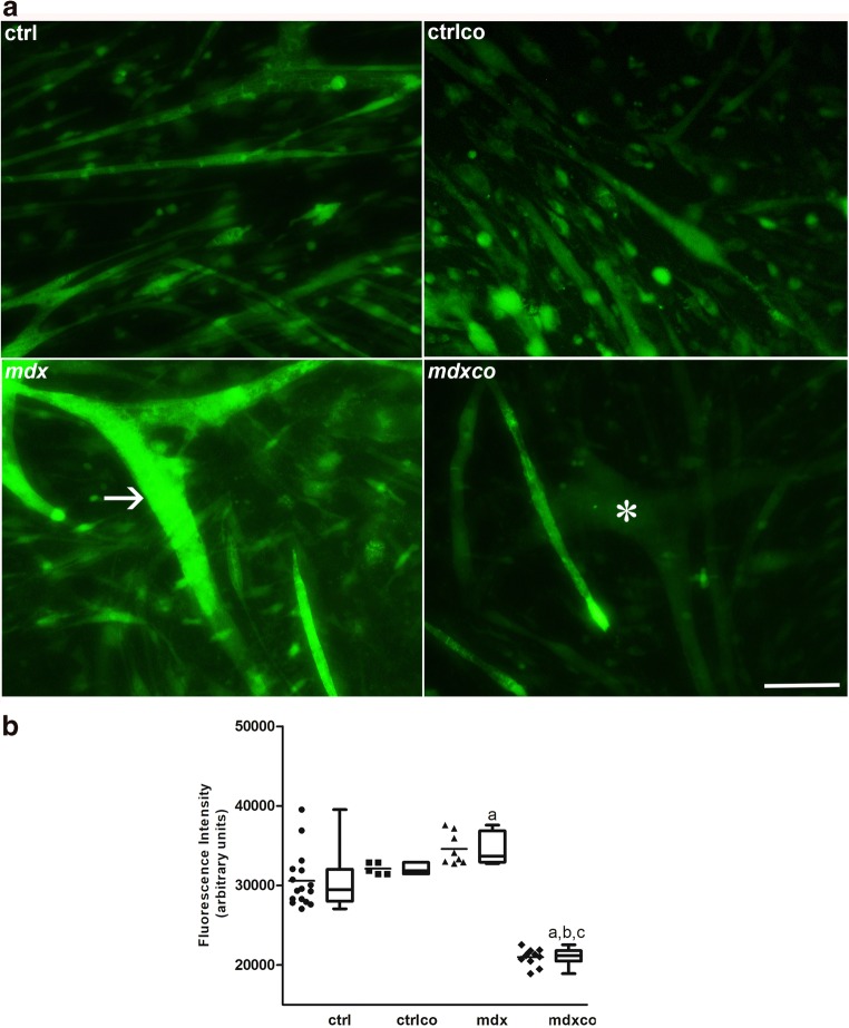 Fig. 3