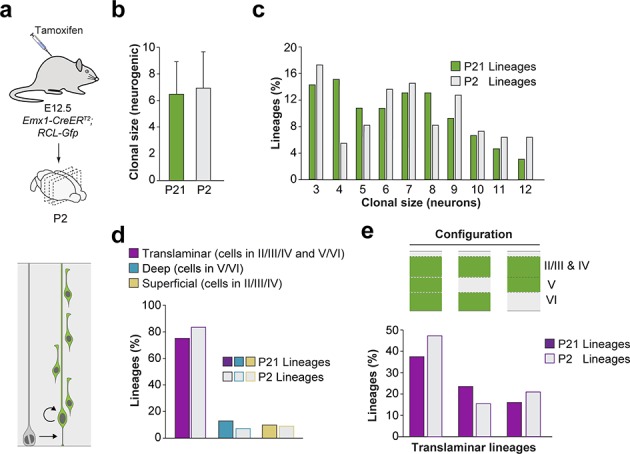 Figure 5—figure supplement 3.