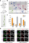 Figure 5—figure supplement 2.