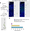 Figure 2—figure supplement 1.