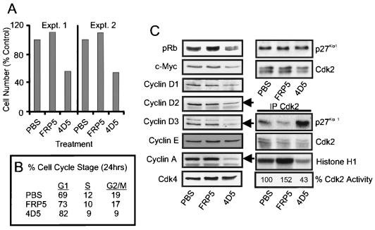 FIG. 10