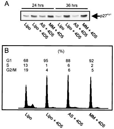 FIG. 12