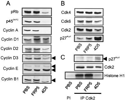 FIG. 6