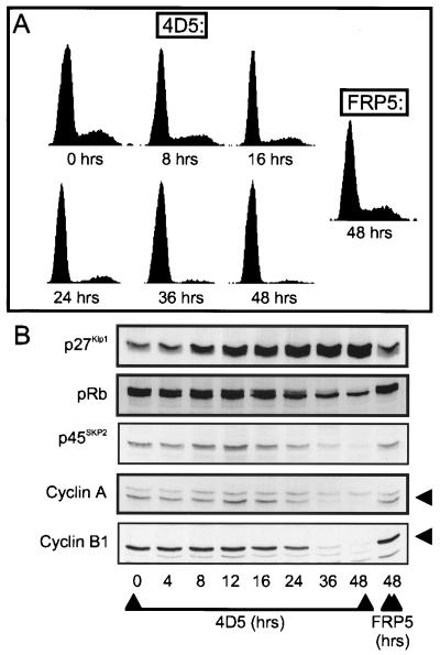 FIG. 7