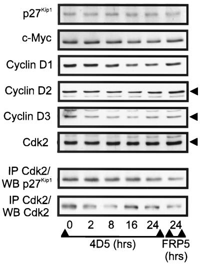 FIG. 11