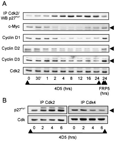 FIG. 9