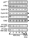 FIG. 11