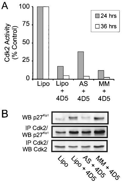 FIG. 13