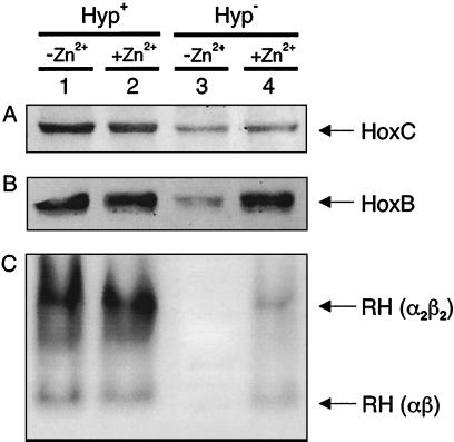 FIG. 5