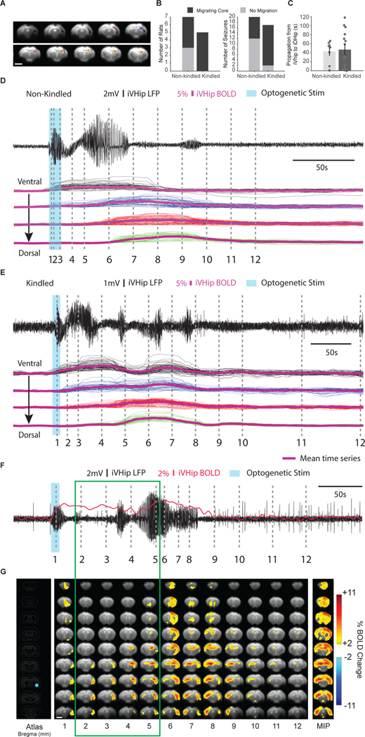 Figure 7: