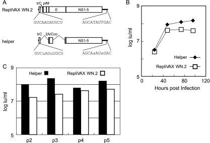 FIG. 6.