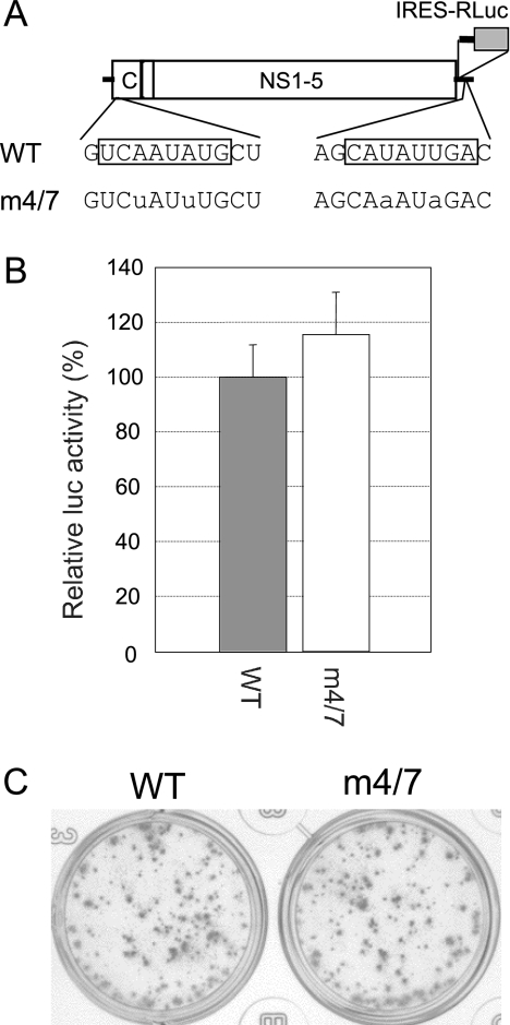 FIG. 3.