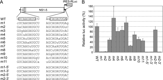 FIG. 2.