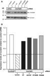 Figure 6.