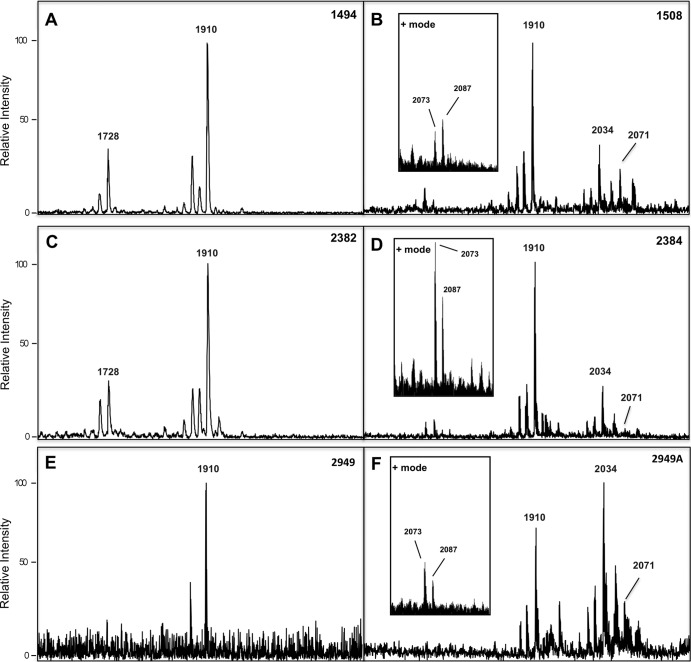 Fig 6