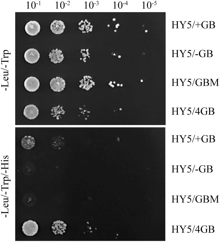 Figure 6