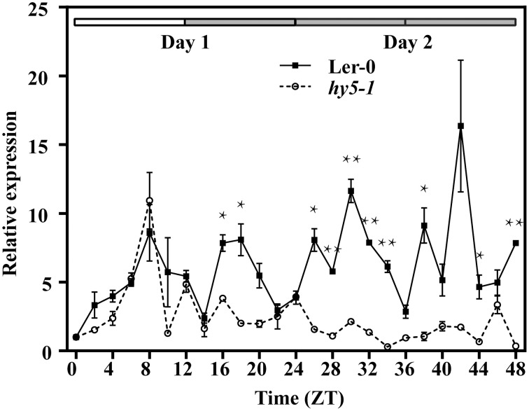 Figure 5