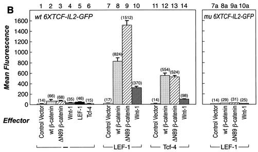 FIG. 1.