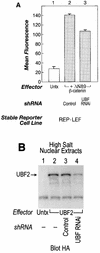 FIG. 10.