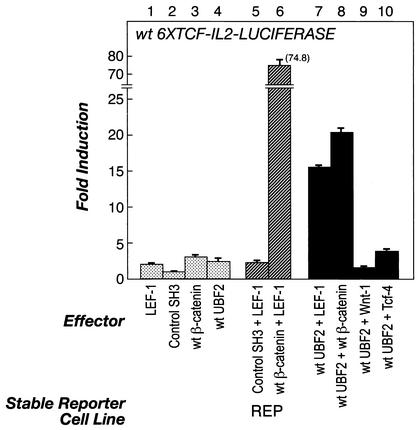 FIG. 6.