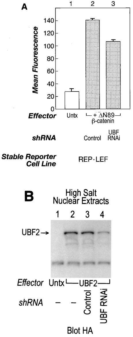 FIG. 10.