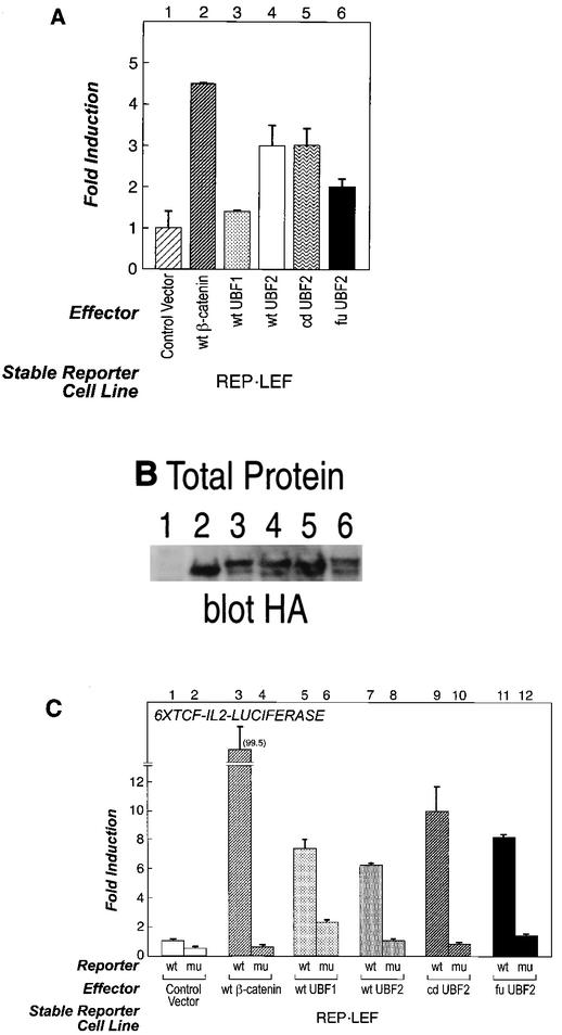 FIG. 5.