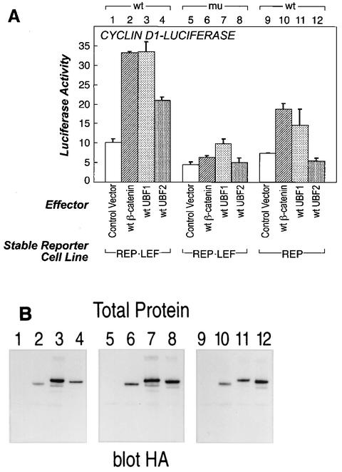 FIG. 9.