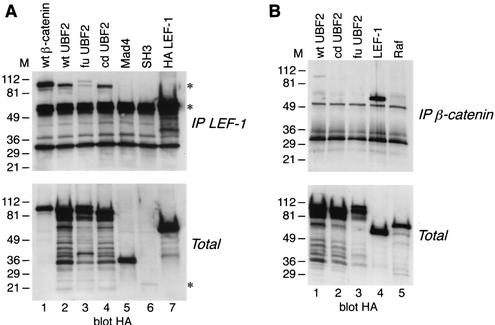 FIG. 7.