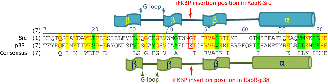 Fig. 7