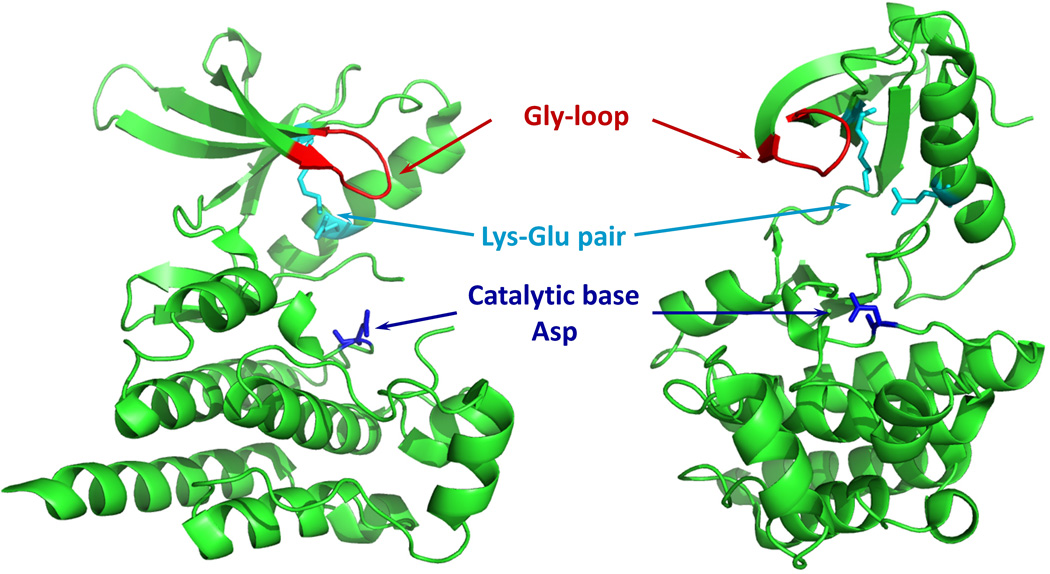 Fig. 12