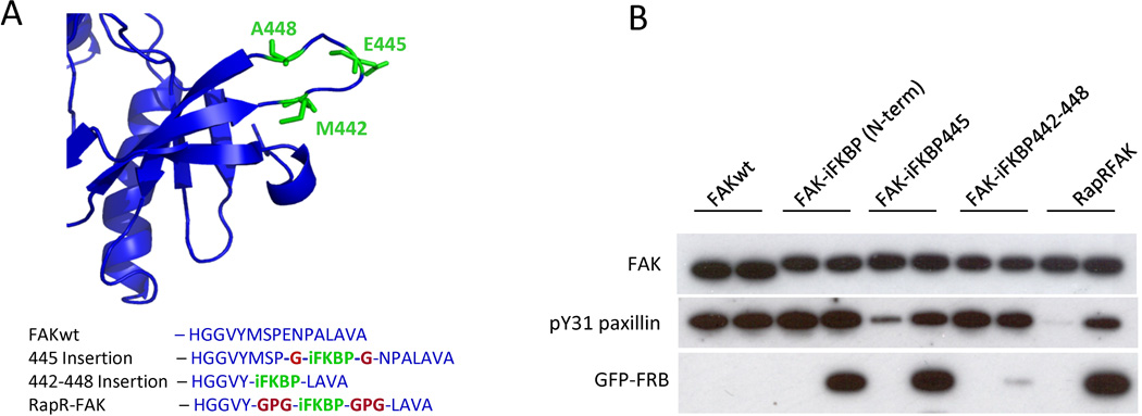 Fig. 8