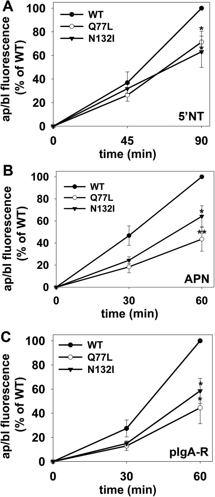 FIGURE 3: