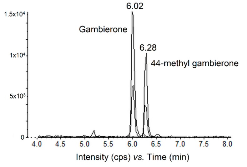 Figure 5