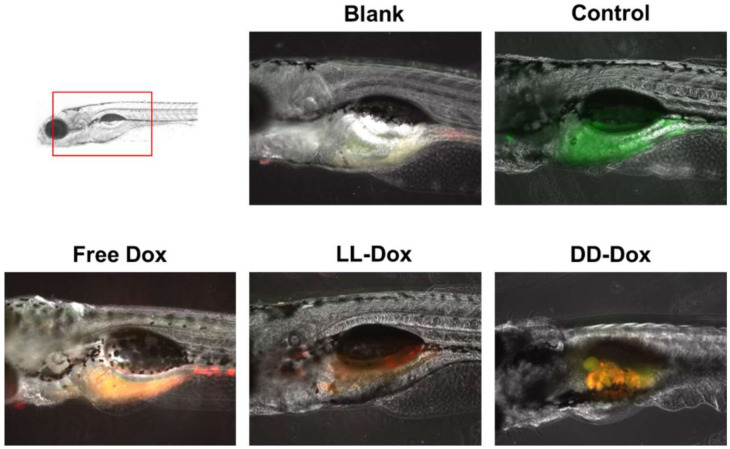 Figure 10