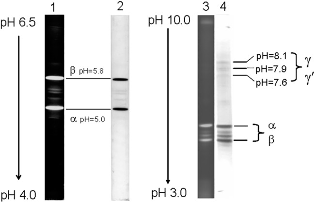 Fig 7