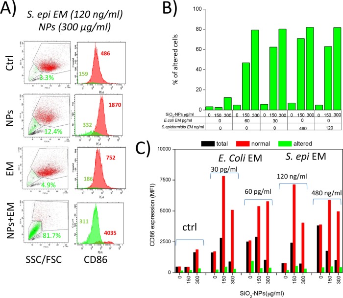 FIG 6