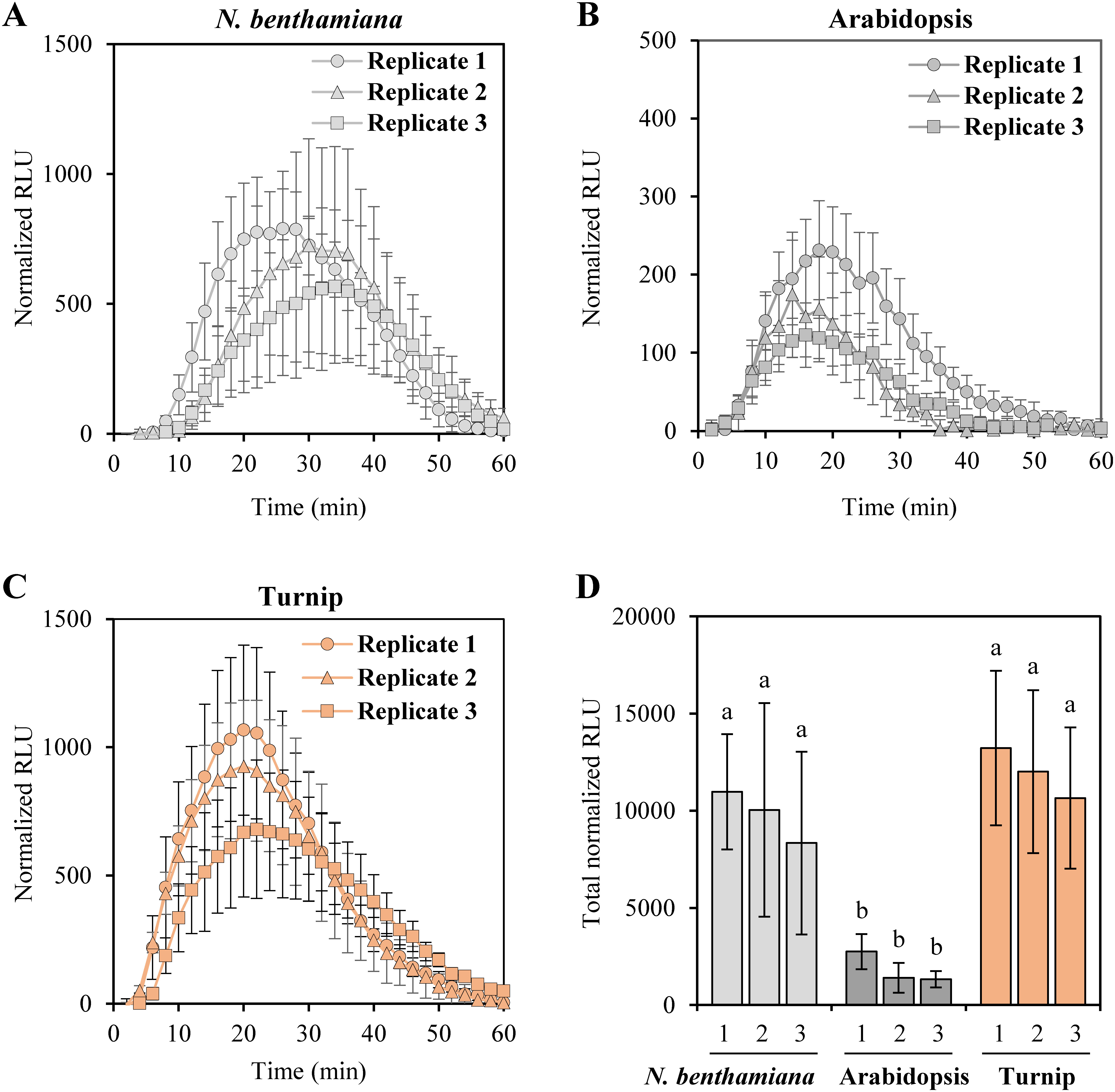 Figure 3. Normalized RLU after removal of background when 100 nM flg22 was treated to N. benthamiana, Arabidopsis, and turnip. (A–C) Normalized RLU for 60 min after 100 nM flg22 treatment in triplicate experiments of N. benthamiana (A), Arabidopsis (B), and turnip (C). For each time point, normalized RLU value was obtained by subtraction of the background RLU value of mock treatment from the RLU value of 100 nM flg22 treatment. Each graph shows three individual tests. (D) Total normalized RLU of the three plant species. Each number under the horizontal axis indicates the replicate number of (A–C). Data are presented as average±SD (n=8, biological replicates). Significance was analyzed by one-way ANOVA and Tukey HSD test. Different letters indicate significant differences (p<0.05).