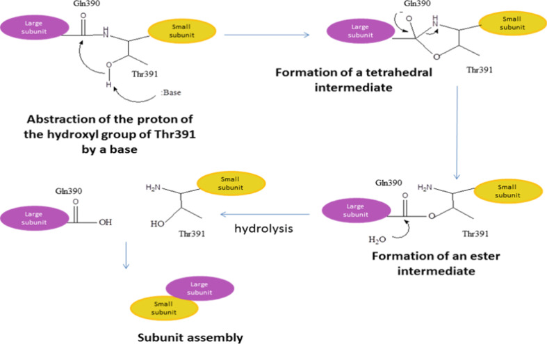 Fig. 3