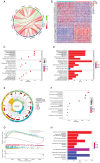 Figure 5. Important role of DHCR24 in bladder cancer. (A) Circos plot shows the correlation between the expression of several genes and DHCR24 in The Cancer Genome Atlas dataset. (B) Expression heat m...