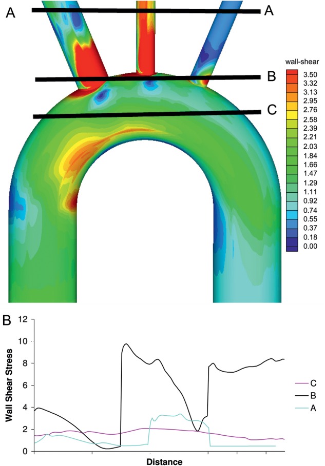 Figure 2: