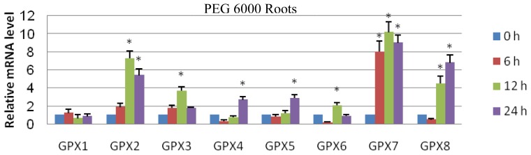 Figure 4.