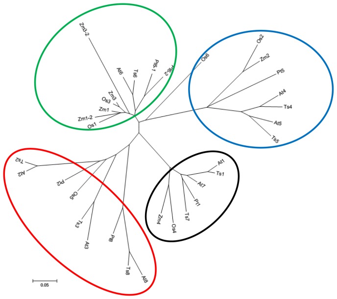 Figure 3.