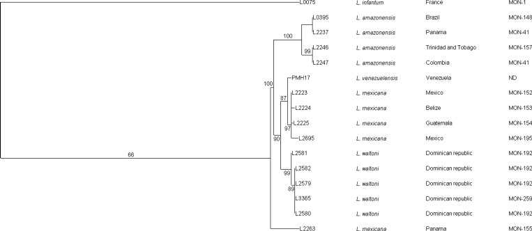 Figure 2.